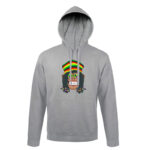 Hoodie αστείο Monkey Rasta